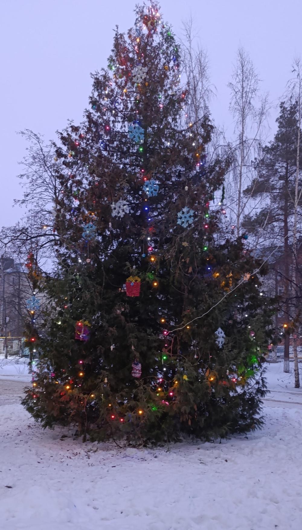🆕Сотрудники ТОГБУЗ «Моршанская ЦРБ» в преддверии Нового года решили создать атмосферу праздника и уюта как для пациентов, так и для посетителей