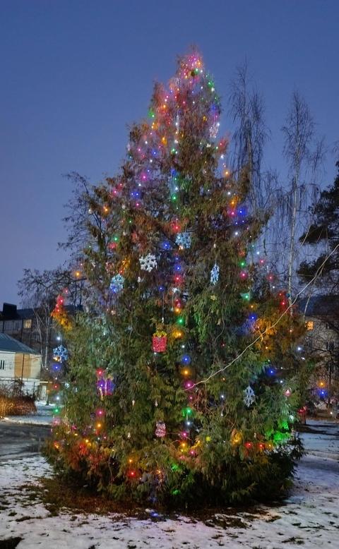 Сотрудники ТОГБУЗ «Моршанская ЦРБ», в преддверии Нового года, украсили ель, растущую во дворе ЦРБ